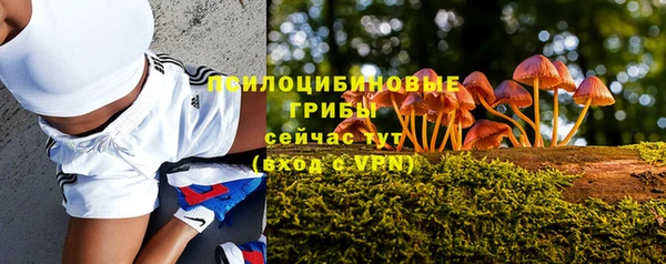 Альфа ПВП Богородицк